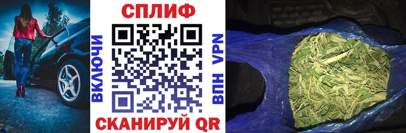 Как найти наркотики Новозыбков гидра маркетплейс  АМФЕТАМИН  Гашиш  СОЛЬ  Кокаин 