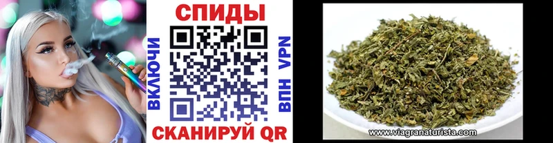БУТИРАТ буратино  Новозыбков 
