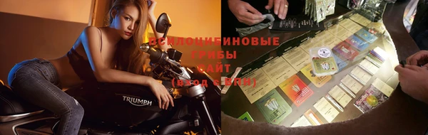 синтетический гашиш Бородино