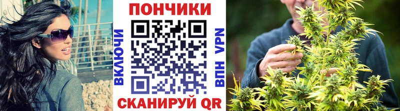 Конопля тримм где продают наркотики Новозыбков